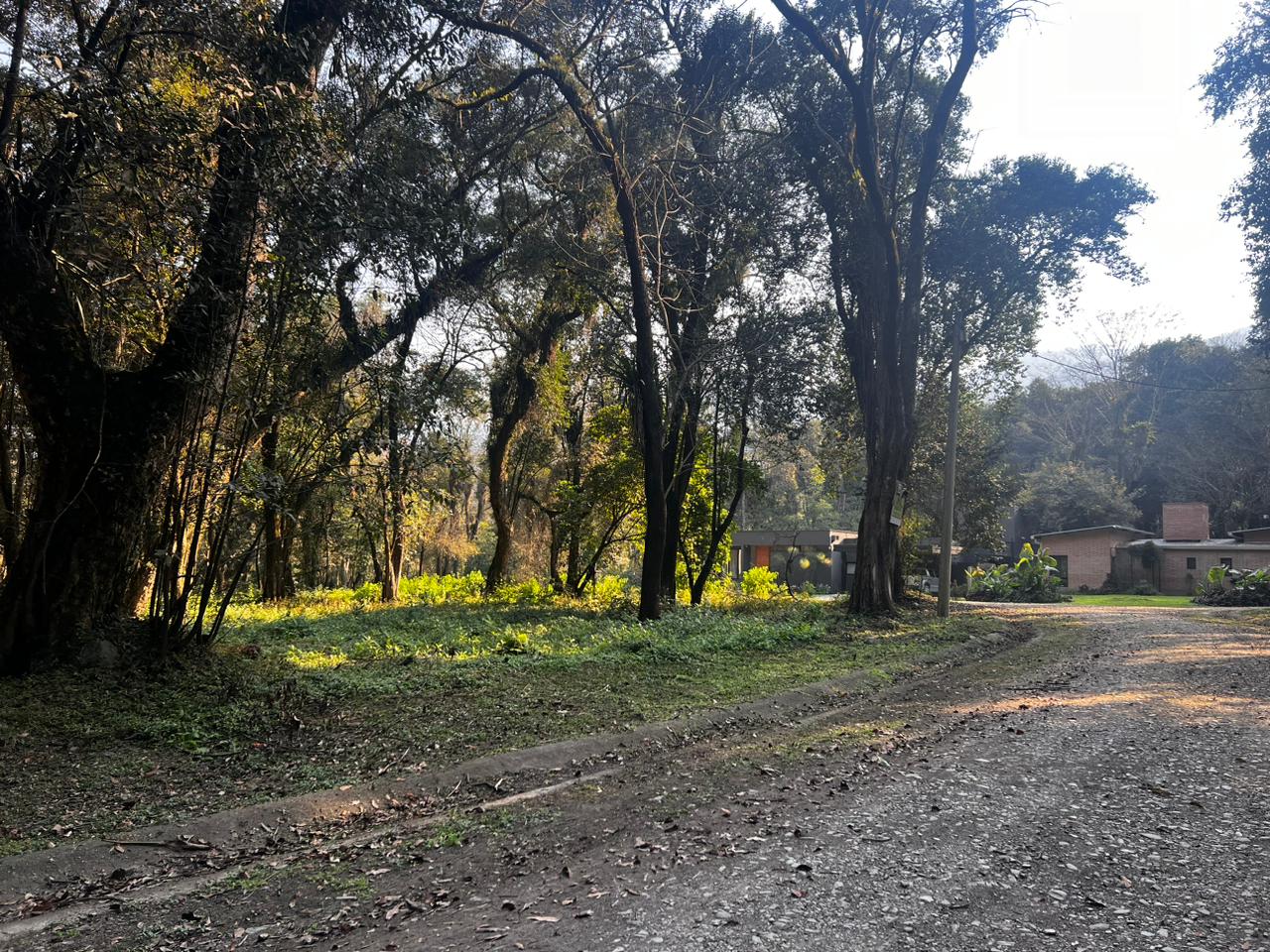 el tipal - 3